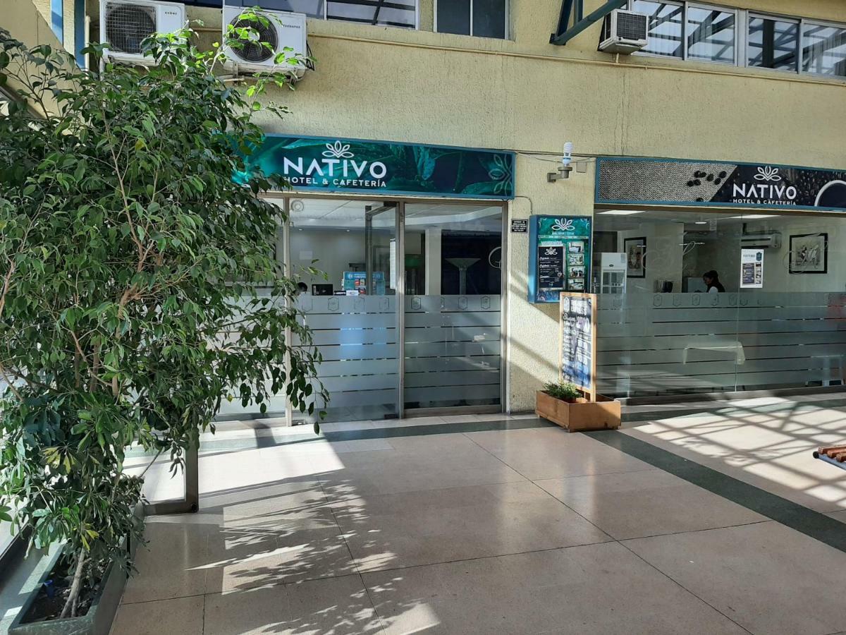 Nativo Hotel Y Cafeteria Τάλκα Εξωτερικό φωτογραφία