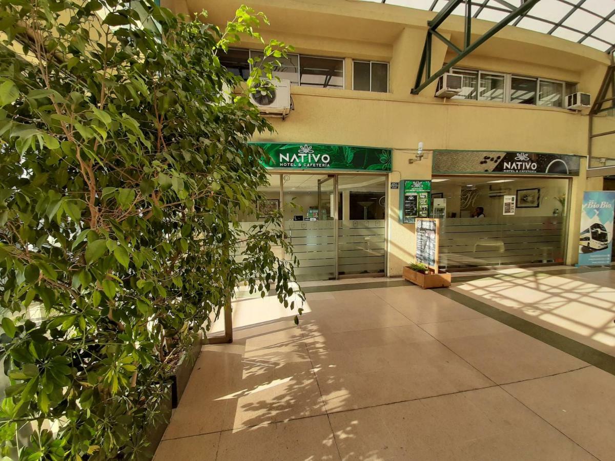 Nativo Hotel Y Cafeteria Τάλκα Εξωτερικό φωτογραφία